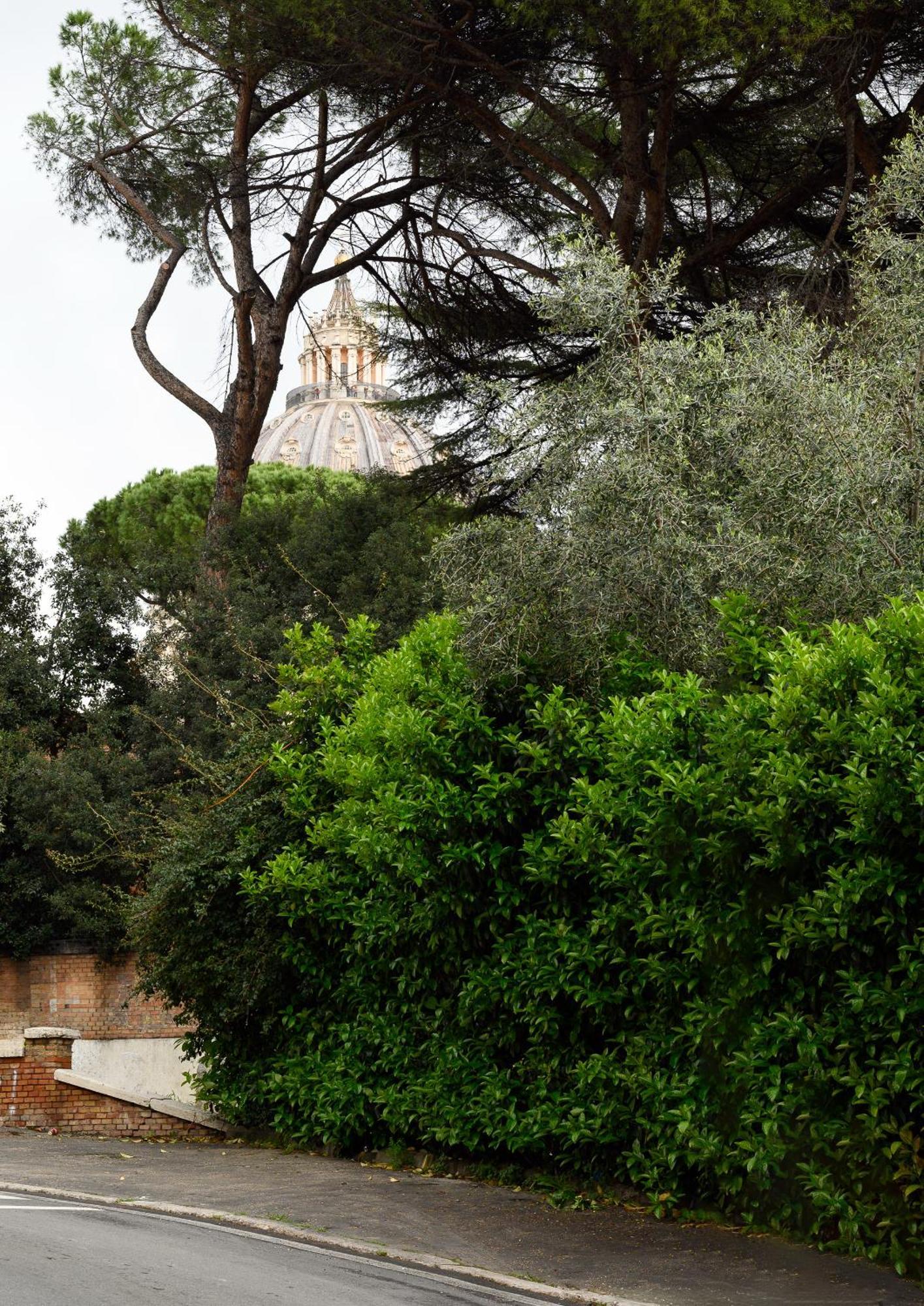 Magnoliahome Alla Cupola Di San Pietro Roma Dış mekan fotoğraf